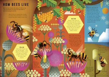 Wild Your World: Bees - Camilla de la Bedoyere [KSIĄŻKA]