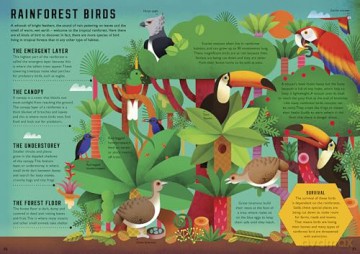 Wild Your World: Birds - Camilla de la Bedoyere [KSIĄŻKA]