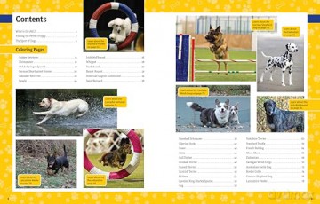 AKC Ultimate Dog Coloring Book: Color and Learn About the Golden Retriever, French Bulldog, German Shepherd Dog, and Other Popular Breeds - American Kennel Club [KSIĄŻKA]