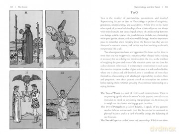 Tarot as Storyteller: Psychic Development, Cartomancy, and Reading the Web of Fate - Salicrow [KSIĄŻKA]