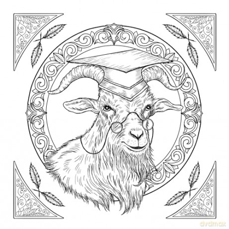 Wicked Official Coloring Book: (Universal Pictures Wicked) - Carolina Zambrano [KSIĄŻKA]