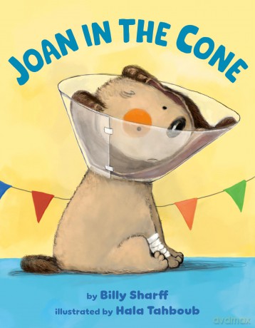 Joan in the Cone - Billy Sharff [KSIĄŻKA]