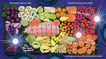 Ray: How Light Works (A Science Pals Book) - Emily Kate Moon [KSIĄŻKA]
