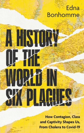 A History of the World in Six Plagues: How Contagion, Class and Captivity Shape Us, from Cholera to Covid-19 - Edna Bonhomme [KSIĄŻKA]