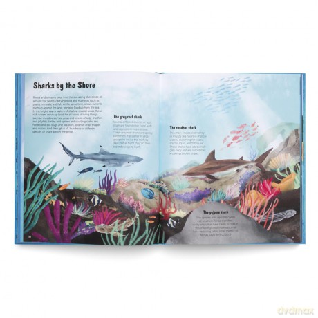 The World of Sharks: Get to Know the Fascinating Creatures of the Oceans - gestalten [KSIĄŻKA]