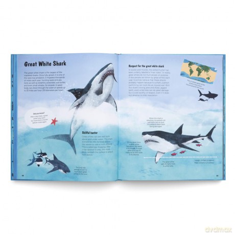 The World of Sharks: Get to Know the Fascinating Creatures of the Oceans - gestalten [KSIĄŻKA]