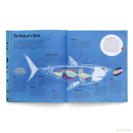 The World of Sharks: Get to Know the Fascinating Creatures of the Oceans - gestalten [KSIĄŻKA]