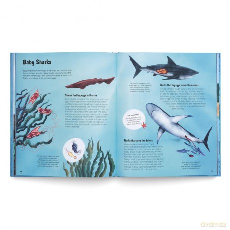 The World of Sharks: Get to Know the Fascinating Creatures of the Oceans - gestalten [KSIĄŻKA]