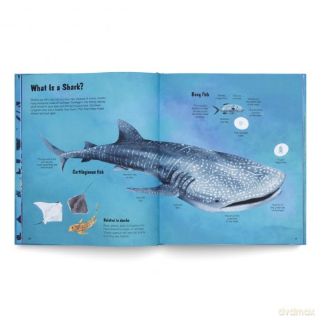 The World of Sharks: Get to Know the Fascinating Creatures of the Oceans - gestalten [KSIĄŻKA]