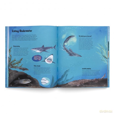The World of Sharks: Get to Know the Fascinating Creatures of the Oceans - gestalten [KSIĄŻKA]