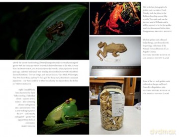 The Golden Toad: An Ecological Mystery and the Search for a Lost Species - Trevor Ritland [KSIĄŻKA]
