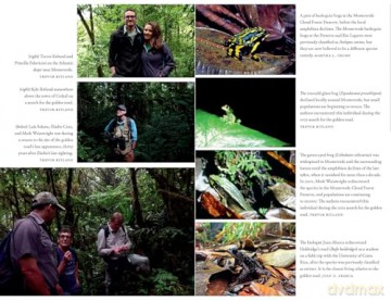 The Golden Toad: An Ecological Mystery and the Search for a Lost Species - Trevor Ritland [KSIĄŻKA]