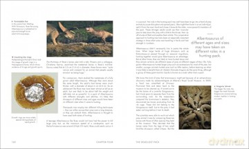 BBC Walking With Dinosaurs: Uncovering the Secret Stories of Prehistoric Life - Andrew Cohen [KSIĄŻKA]