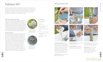 Biodynamic Gardening: Organic Growing Guided by the Moon for Bountiful Harvests - DK [KSIĄŻKA]