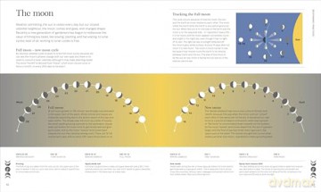 Biodynamic Gardening: Organic Growing Guided by the Moon for Bountiful Harvests - DK [KSIĄŻKA]