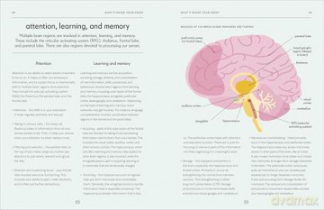 Brain: An Owner's Guide - Elizabeth R. Ricker [KSIĄŻKA]
