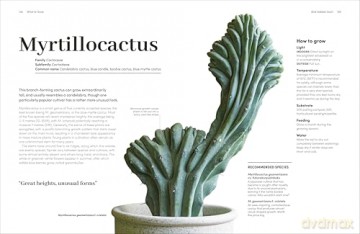 Cacti and Succulents: The Plant Rescuer's On-point Advice to Keep Your Plants Looking Sharp - Sarah Gerrard-Jones [KSIĄŻKA]
