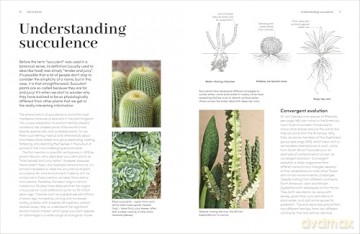 Cacti and Succulents: The Plant Rescuer's On-point Advice to Keep Your Plants Looking Sharp - Sarah Gerrard-Jones [KSIĄŻKA]