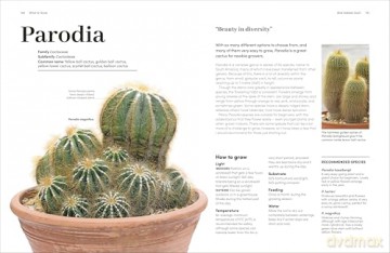 Cacti and Succulents: The Plant Rescuer's On-point Advice to Keep Your Plants Looking Sharp - Sarah Gerrard-Jones [KSIĄŻKA]