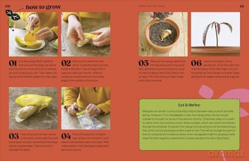 Grow Your Groceries: 40 Hacks for Growing Plants from Your Weekly Shop: A SUNDAY TIMES BESTSELLER - Simon Akeroyd [KSIĄŻKA]