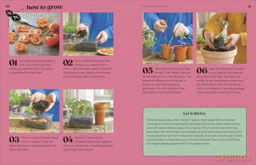 Grow Your Groceries: 40 Hacks for Growing Plants from Your Weekly Shop: A SUNDAY TIMES BESTSELLER - Simon Akeroyd [KSIĄŻKA]