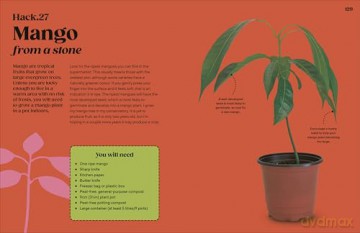 Grow Your Groceries: 40 Hacks for Growing Plants from Your Weekly Shop: A SUNDAY TIMES BESTSELLER - Simon Akeroyd [KSIĄŻKA]