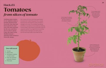 Grow Your Groceries: 40 Hacks for Growing Plants from Your Weekly Shop: A SUNDAY TIMES BESTSELLER - Simon Akeroyd [KSIĄŻKA]
