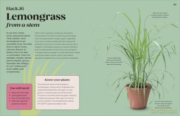 Grow Your Groceries: 40 Hacks for Growing Plants from Your Weekly Shop: A SUNDAY TIMES BESTSELLER - Simon Akeroyd [KSIĄŻKA]