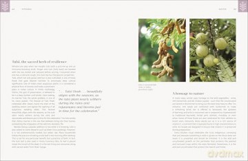 Mitahara: Food Wisdom From My Indian Kitchen - Rujuta Diwekar [KSIĄŻKA]