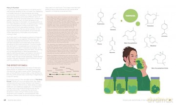 Reefer Wellness: Understanding Cannabis Science, Culture, and Medicine - Riley Dr. Kirk [KSIĄŻKA]
