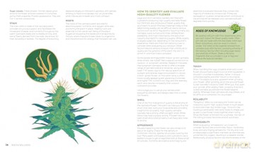Reefer Wellness: Understanding Cannabis Science, Culture, and Medicine - Riley Dr. Kirk [KSIĄŻKA]