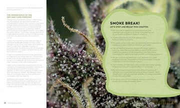 Reefer Wellness: Understanding Cannabis Science, Culture, and Medicine - Riley Dr. Kirk [KSIĄŻKA]
