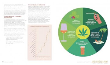 Reefer Wellness: Understanding Cannabis Science, Culture, and Medicine - Riley Dr. Kirk [KSIĄŻKA]
