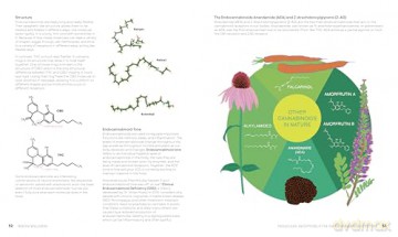 Reefer Wellness: Understanding Cannabis Science, Culture, and Medicine - Riley Dr. Kirk [KSIĄŻKA]