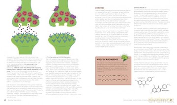 Reefer Wellness: Understanding Cannabis Science, Culture, and Medicine - Riley Dr. Kirk [KSIĄŻKA]