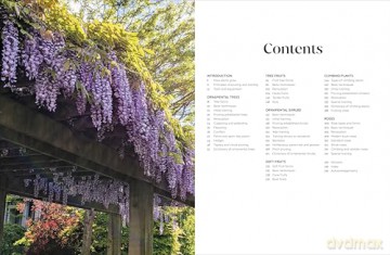 RHS Pruning and Training: What, When, and How to Prune Over 800 Plants - DK [KSIĄŻKA]