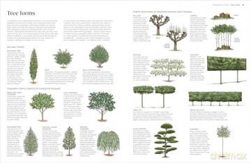 RHS Pruning and Training: What, When, and How to Prune Over 800 Plants - DK [KSIĄŻKA]