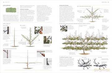 RHS Pruning and Training: What, When, and How to Prune Over 800 Plants - DK [KSIĄŻKA]