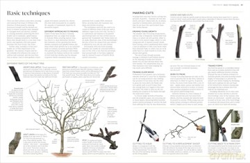 RHS Pruning and Training: What, When, and How to Prune Over 800 Plants - DK [KSIĄŻKA]