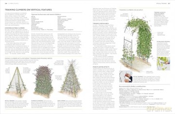 RHS Pruning and Training: What, When, and How to Prune Over 800 Plants - DK [KSIĄŻKA]