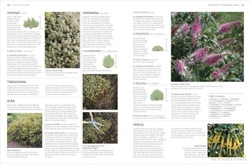 RHS Pruning and Training: What, When, and How to Prune Over 800 Plants - DK [KSIĄŻKA]