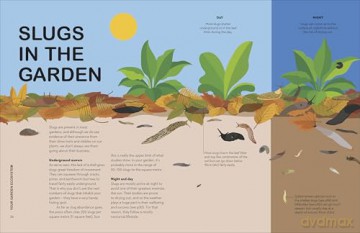 RHS Slugs: Friend or Foe?: Know Your Slugs and Learn to Live With Them - Royal Horticultural Society [KSIĄŻKA]