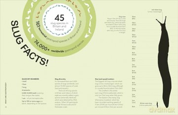 RHS Slugs: Friend or Foe?: Know Your Slugs and Learn to Live With Them - Royal Horticultural Society [KSIĄŻKA]