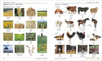 Russian English Bilingual Visual Dictionary (DK Bilingual Visual Dictionaries) - DK [KSIĄŻKA]