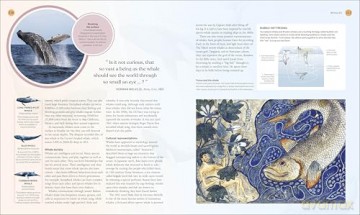 The Ocean Book: The Stories, Science, and History of Oceans (DK Nature Books) - DK [KSIĄŻKA]