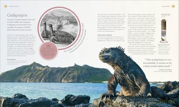 The Ocean Book: The Stories, Science, and History of Oceans (DK Nature Books) - DK [KSIĄŻKA]