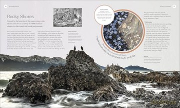 The Ocean Book: The Stories, Science, and History of Oceans (DK Nature Books) - DK [KSIĄŻKA]