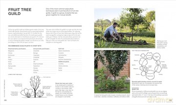 The Permaculture Garden: A Practical Approach to Year-round Harvests - Huw Richards [KSIĄŻKA]