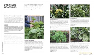The Permaculture Garden: A Practical Approach to Year-round Harvests - Huw Richards [KSIĄŻKA]