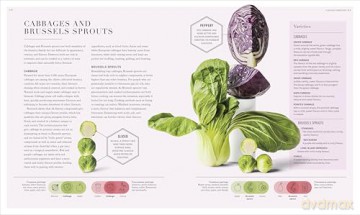 The Science of Flavour: Unlock the Secrets of Flavourful Cooking - Dr. Stuart Farrimond [KSIĄŻKA]